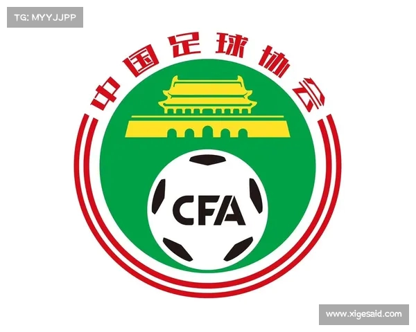 中国足球协会女子室内五人制足球会员协会青少年联赛 中国足球协会女子室内五人制足球会员协会青少年联赛