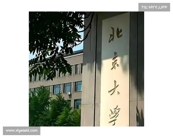 从北大冷门专业到新职业:她的奋斗故事与未来规划揭秘(北大冷门的专业是什么专业) 从北大冷门专业到新职业:她的奋斗故事与未来规划揭秘(北大冷门的专业是什么专业)